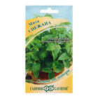 Семена Мята "Снежана", ц/п, 0,05 г - Фото 1