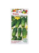 Семена Огурец "Родничок" , F1 10 шт. (комплект 2 шт) - фото 34655601