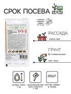 Семена Огурец «Дедушкина внучка», F1, 20 шт., «1+1», «Гавриш» - Фото 2