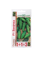 Семена Огурец "Заначка", F1, серия 1 + 1 20 шт. 10217693 - фото 16394908