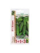 Огурец Углич F1 серия 1+1/20 шт. корнишон автор. - фото 808717132