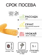 Семена Кукуруза «Симпатия», белый пакет, F1, сахарная, 5 г, «Гавриш» - Фото 2