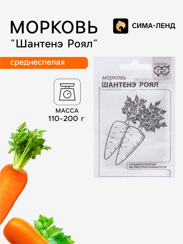 Семена Морковь «Шантенэ Роял», белый пакет, 2 г - Фото 1