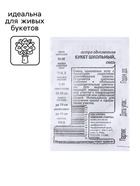 Семена Астра "Букет", однолетняя, 0,1 г б/п - Фото 3