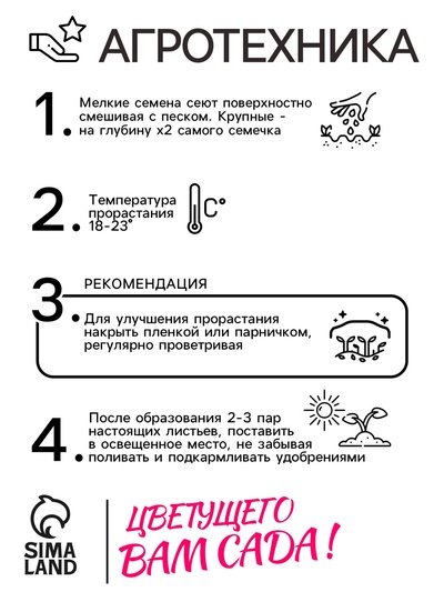 Семена Астра "Седая дама",  однолетняя 0,1 г б/п