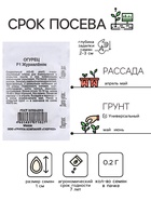 Семена Огурец «Журавлёнок», F1, 0.2 г, среднеранний, «Удачные семена» - Фото 2