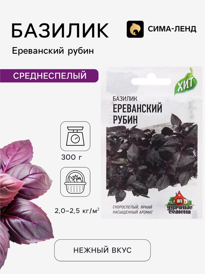Семена Базилик «Ереванский рубин», 0.1 г, «ХИТ-Гавриш» - Фото 1