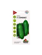 Семена Огурец Гармонист F1 10 шт. Уд. с. корнишон - Фото 5