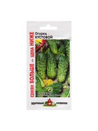 Семена Огурец "Кустовой", 1,0 г (комплект 2 шт) - фото 34655651