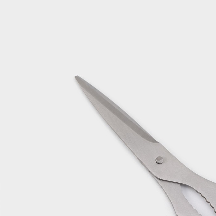 Ножницы кухонные Доляна Classic, 18 см - фото 1882962265