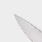 Набор ножей кухонных на подставке Доляна Ardone, 7 предметов: 5 ножей, мусат и ножницы, хромированный - Фото 6