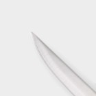 Набор ножей кухонных на подставке Доляна «Металлик», 7 предметов: 5 ножей, мусат и ножницы, цвет серебристый - Фото 4