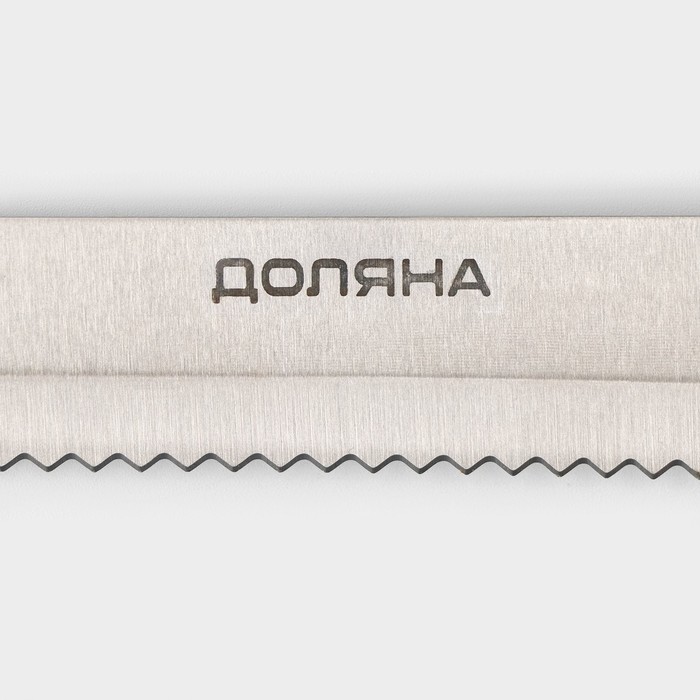 Набор кухонных ножей на подставке Доляна «Металлик», 7 предметов, цвет хромированный