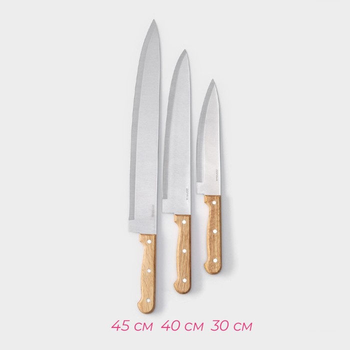 Набор кухонных ножей Доляна «Поварская тройка», 3 предмета: лезвие 19 см, 22 см, 23 см