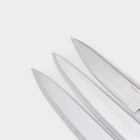 Набор кухонных ножей Доляна «Поварская тройка», 3 предмета: лезвие 18 см, 25,5 см, 33 см, ручка деревянная - Фото 3