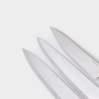 Набор кухонных ножей Доляна «Поварская тройка», 3 предмета: лезвие 18 см, 25.5 см, 33 см, ручка деревянная - Фото 3