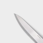 Нож кухонный Доляна «Поварская тройка», лезвие 18 см, деревянная ручка - Фото 2
