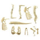 Набор для опытов «Время динозавров», тиранозавр, в пакете - фото 23442704