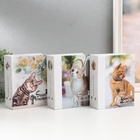Фотоальбом на 100 фото 10х15 см "Кошки" МИКС - фото 23522787