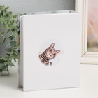 Фотоальбом на 100 фото 10х15 см "Кошки" МИКС - фото 23522789