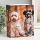 Фотоальбом на 100 фото 10х15 см "Собаки" МИКС - фото 23522811 Фотоальбом на 100 фото 10х15 см "Собаки" МИКС - фото 23522811