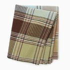 Полотенце Этель Plaid, цв. голубой, 38х63 см, 100% хл 9621420