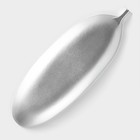 Блюдо для фруктов Доляна «Тропический лист», 40.5×14.5 см, цвет серебристый - Фото 4