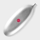 Блюдо для фруктов Доляна «Тропический лист», 40.5×14.5 см, цвет серебристый - Фото 5