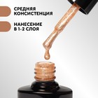 Гель лак для ногтей, «CHROME», шиммерный, 3-х фазный, 8мл, LED/UV, цвет шампань (018) 9734221 - фото 12958852