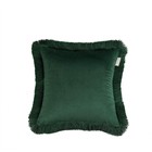 Наволочка «Фаина», размер 45х45 см, цвет зелёный - фото 307284259