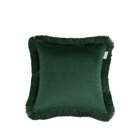 Наволочка «Фаина», размер 45х45 см, цвет зелёный