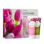 Подарочный набор La Primavera "Тюльпан": Крем для рук, 75 мл + Крем для ног, 75 мл - фото 11835699