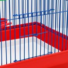 Клетка для птиц большая, полукруглая, поилка,  жердочка, качель, 35 х 28 х 45 см микс цветов 1065755