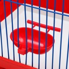 Клетка для птиц большая, полукруглая, поилка,  жердочка, качель, 35 х 28 х 45 см микс цветов 1065755