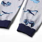 Пижама для мальчиков, цвет серый/самолеты, рост 152 см - фото 23529842