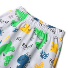 Пижама для мальчиков, цвет серый/дино, рост 104 см - фото 23529931