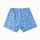 Трусы-боксеры для мальчика, цвет голубой, рост 104 см - фото 23530040