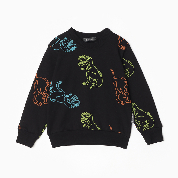 Свитшот для мальчика, цвет черный/дино, рост 104 см - Фото 1