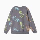 Свитшот для мальчиков, цвет графит/дино, рост 104 - фото 23535861