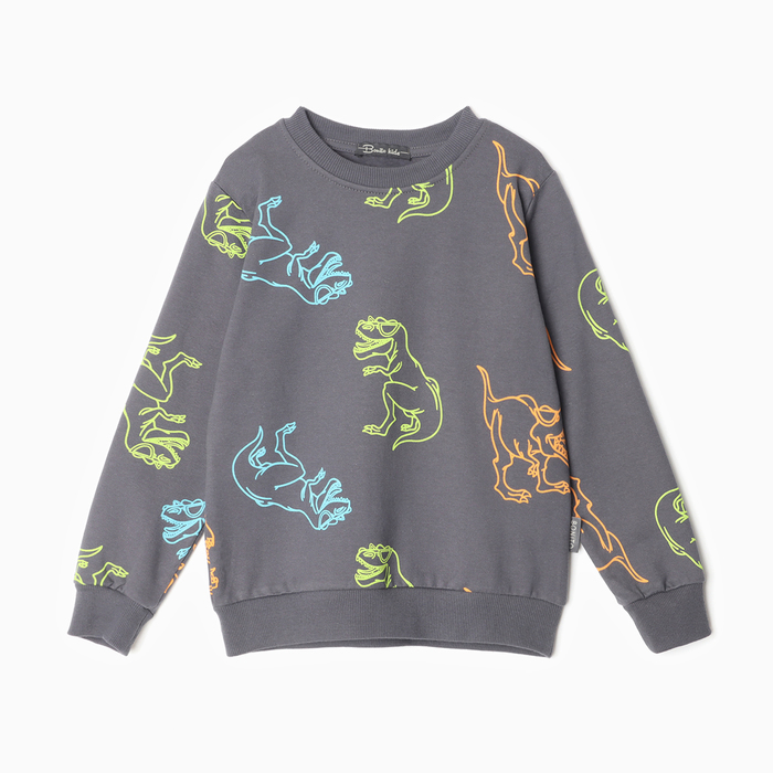 Свитшот для мальчиков, цвет графит/дино, рост 110 - Фото 1