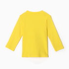 Лонгслив для девочки, цвет жёлтый, рост 104 см - фото 23549000