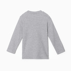 Лонгслив для девочки, цвет серый меланж, рост 104 см - фото 23549012