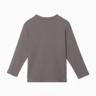 Лонгслив для мальчика, цвет графитовый, рост 104 см - фото 23549108