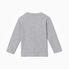 Лонгслив для мальчика, цвет серый меланж , рост 104 см (комплект 2 шт) - фото 23535891