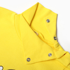Водолазка для девочек, цвет жёлтый, рост 86 см (комплект 2 шт) - фото 23549229