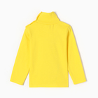 Водолазка для девочек, цвет жёлтый, рост 92 см (комплект 2 шт) - фото 23549234