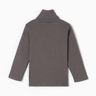 Водолазка для мальчиков, цвет графитовый, рост 86 см (комплект 2 шт) - фото 23549291