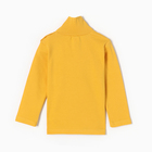 Водолазка для мальчиков, цвет тёмно-жёлтый, рост 92 см - фото 23549390