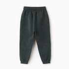 Брюки для мальчика, цвет изумрудный, рост 116 см - фото 23536009