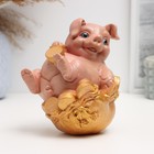 Копилка "Свинка на мешке с деньгами" 14,5см - фото 8599465